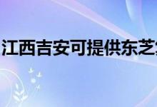 江西吉安可提供東芝復(fù)印機維修服務(wù)地址在哪