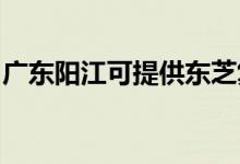 廣東陽江可提供東芝復(fù)印機維修服務(wù)地址在哪