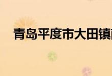 青島平度市大田鎮(zhèn)南希望小學的地址在哪