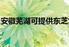 安徽蕪湖可提供東芝復(fù)印機維修服務(wù)地址在哪