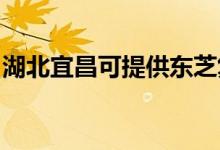 湖北宜昌可提供東芝復(fù)印機維修服務(wù)地址在哪