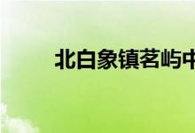 北白象鎮(zhèn)茗嶼中心小學(xué)的地址在哪