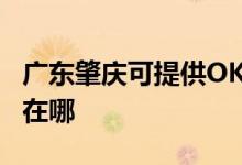 廣東肇慶可提供OKI針式打印機維修服務地址在哪