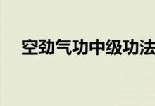 空勁氣功中級功法（空勁氣功精華套路）