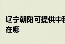 遼寧朝陽可提供中稅針式打印機維修服務地址在哪