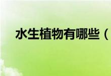 水生植物有哪些（十種常見的水生植物）