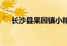 長沙縣果園鎮(zhèn)小精靈幼兒園的地址在哪