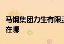 馬鋼集團(tuán)力生有限責(zé)任公司第一幼兒園的地址在哪