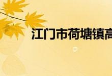 江門(mén)市荷塘鎮(zhèn)高村小學(xué)的地址在哪