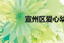 宣州區(qū)愛心幼兒園的地址在哪