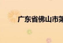 廣東省佛山市第九小學(xué)的地址在哪