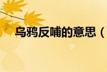 烏鴉反哺的意思（烏鴉反哺的真實原因）
