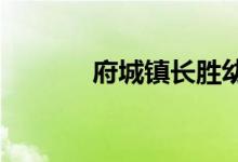 府城鎮(zhèn)長勝幼兒園的地址在哪