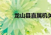 龍山縣直屬機(jī)關(guān)幼兒園的地址在哪