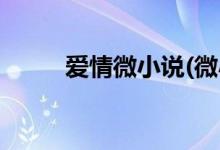 愛情微小說(微小說暖心愛情故事)