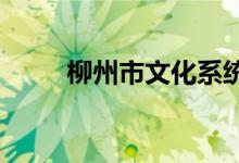 柳州市文化系統(tǒng)幼兒園的地址在哪