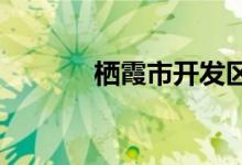 棲霞市開發(fā)區(qū)小學的地址在哪