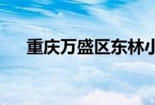 重慶萬(wàn)盛區(qū)東林小學(xué)幼兒園的地址在哪