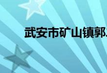 武安市礦山鎮(zhèn)郭二莊小學的地址在哪