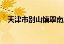天津市別山鎮(zhèn)翠南莊中心小學的地址在哪