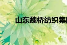 山東魏橋紡織集團幼兒園的地址在哪