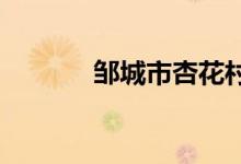 鄒城市杏花村小學(xué)的地址在哪