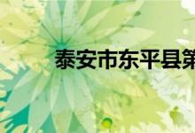 泰安市東平縣第四中學(xué)的地址在哪