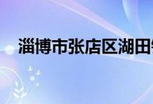 淄博市張店區(qū)湖田鎮(zhèn)第二小學(xué)的地址在哪