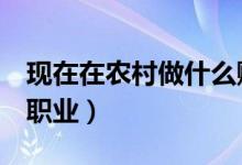現(xiàn)在在農(nóng)村做什么賺錢（農(nóng)村9個比較賺錢的職業(yè)）