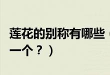 蓮花的別稱有哪些（荷花的十大別稱你喜歡哪一個？）