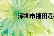 深圳市福田蓮花小學的地址在哪