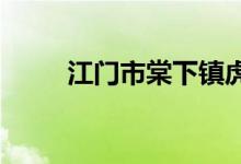 江門(mén)市棠下鎮(zhèn)虎嶺小學(xué)的地址在哪