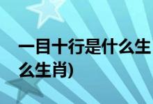 一目十行是什么生肖(一語中特一目十行指什么生肖)