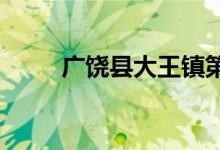 廣饒縣大王鎮(zhèn)第五小學的地址在哪