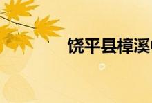 饒平縣樟溪中學的地址在哪