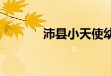 沛縣小天使幼兒園的地址在哪