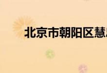 北京市朝陽區(qū)慧忠里小學(xué)的地址在哪