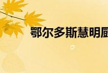 鄂爾多斯慧明廚藝學(xué)校的地址在哪