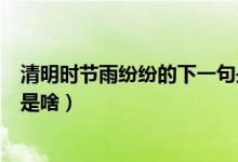 清明時節(jié)雨紛紛的下一句是什么（清明時節(jié)雨紛紛的后一句是啥）