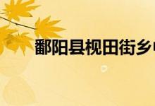 鄱陽縣枧田街鄉(xiāng)中心小學(xué)的地址在哪