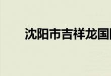 沈陽市吉祥龍國際幼兒園的地址在哪