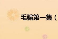 毛騙第一集(毛騙第一季解說)