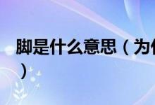 腳是什么意思(為什么偏偏叫腳不叫澳門腳?)