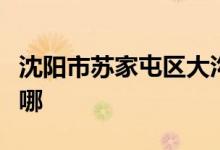 沈陽市蘇家屯區(qū)大溝九年一貫制學(xué)校的地址在哪