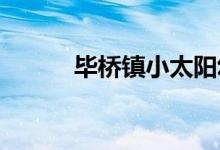 畢橋鎮(zhèn)小太陽幼兒園的地址在哪