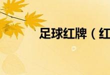 足球紅牌(紅黃牌的判罰標(biāo)準(zhǔn))