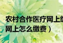 農村合作醫(yī)療網上繳費怎么交（農村合作醫(yī)療網上怎么繳費）