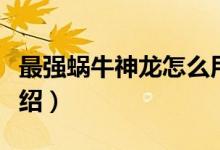 最強(qiáng)蝸牛神龍怎么用（最強(qiáng)蝸牛神龍怎么用介紹）