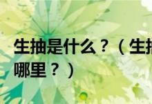 生抽是什么？（生抽、老抽、醬油……區(qū)別在哪里？）