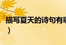 描寫夏天的詩句有哪些（有關(guān)夏天的詩句匯總）
